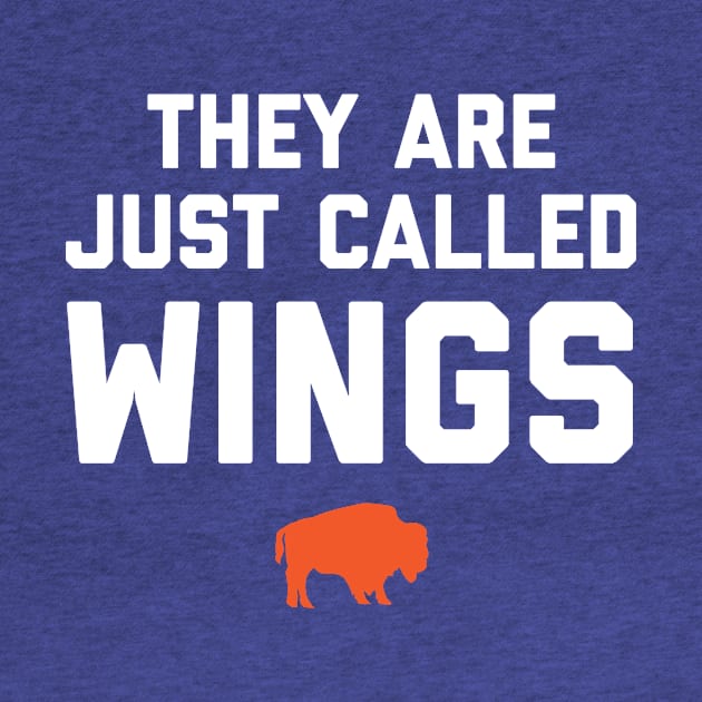 They are just called Wings. by PodDesignShop